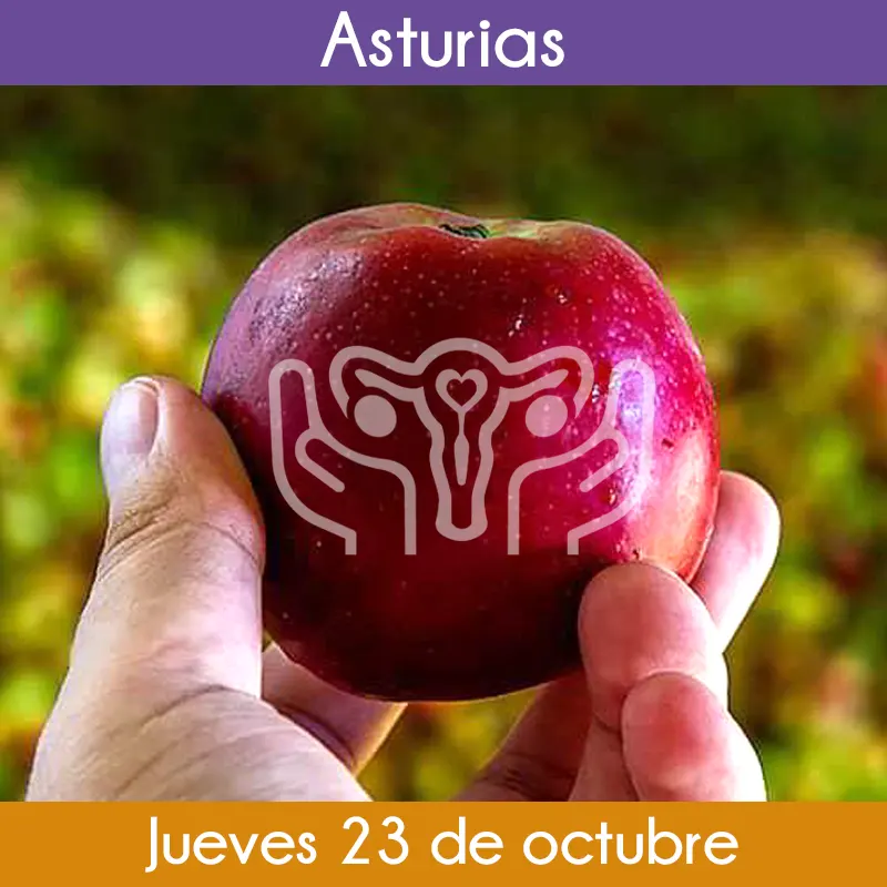Curso Multidisciplinar de entrenamiento en Distocia de Hombros