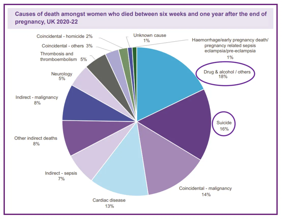 Postnatal Maternal Deaths in the UK